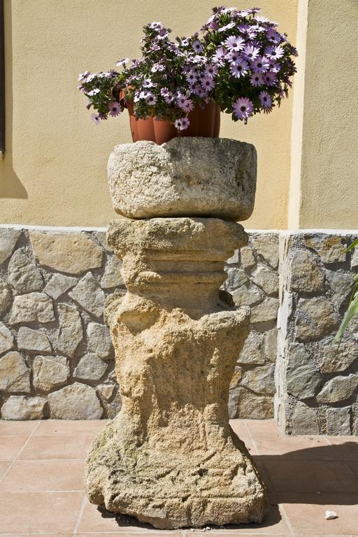 فيلا Agriturismo Rajata باغيريا المظهر الخارجي الصورة